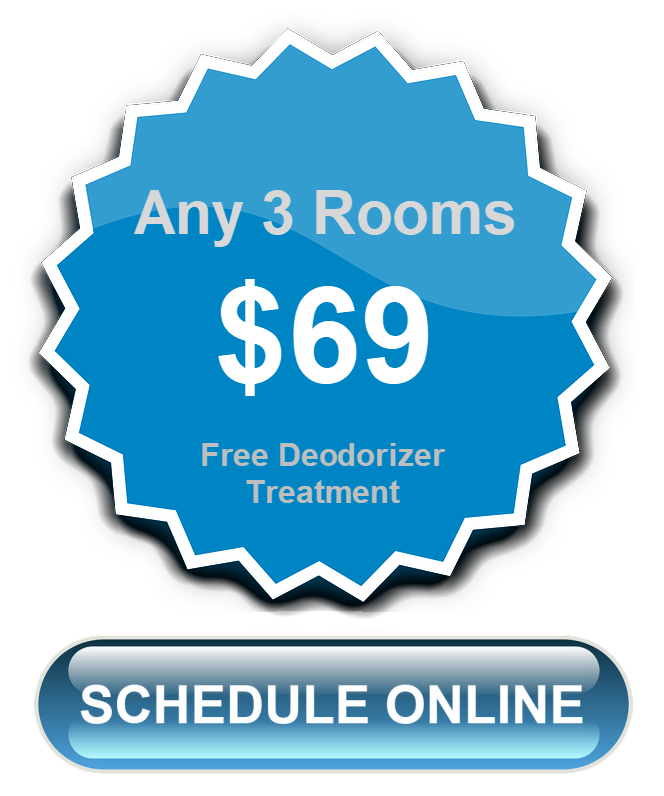 LVCCCouponCarpet LVCC Carpet Cleaning