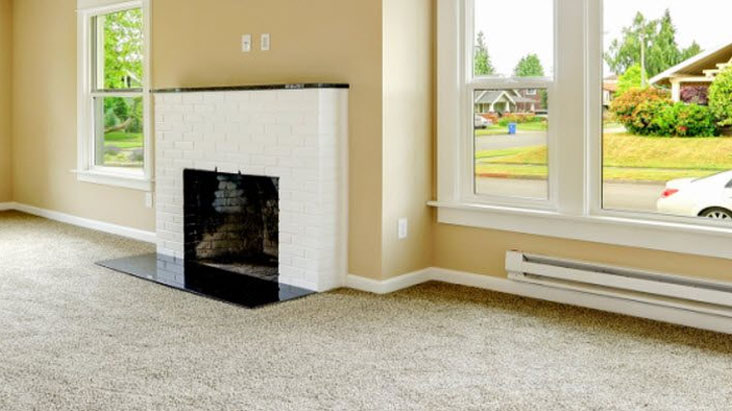 LVCC Carpet Cleaning Fireplace